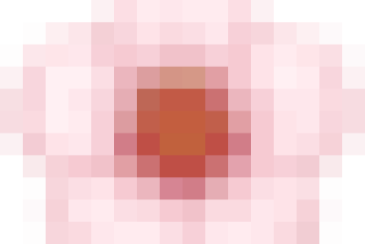 SƠ KẾT HỌC KỲ I & HỘI XUÂN TRẢI NGHIỆM TẾT