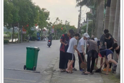 LÀM ĐẸP MÁI TRƯỜNG CỦA EM