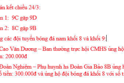 GIẢI BÓNG ĐÁ NAM HỌC SINH 2024-2025